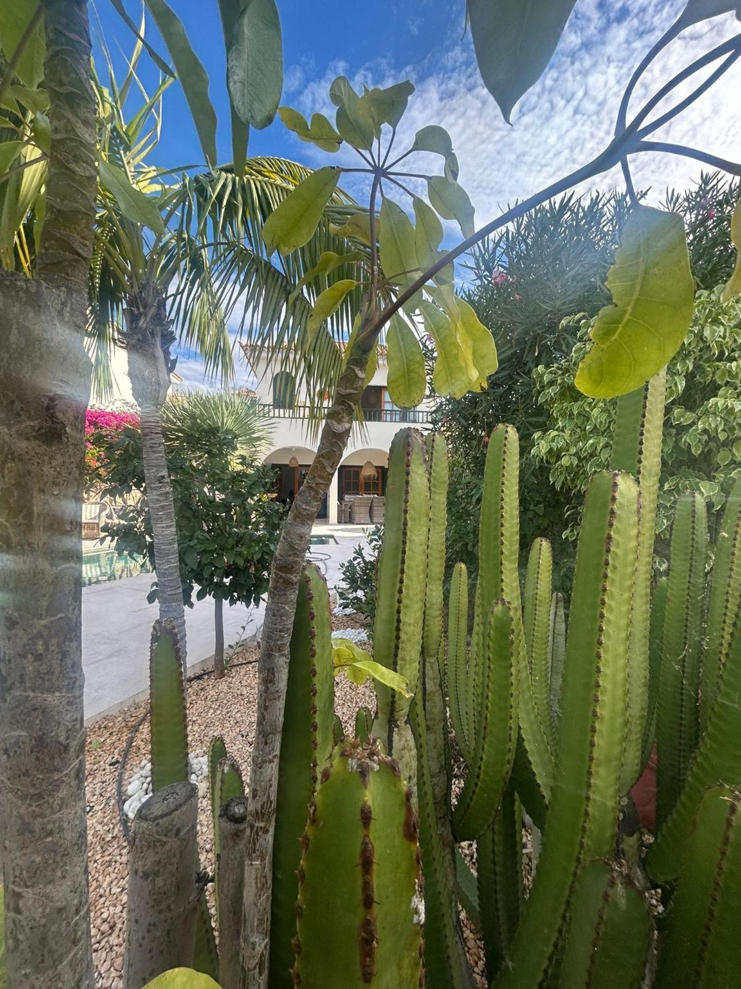 Villa Ibiza - Beautiful House With Private Pool Chayofa Екстериор снимка